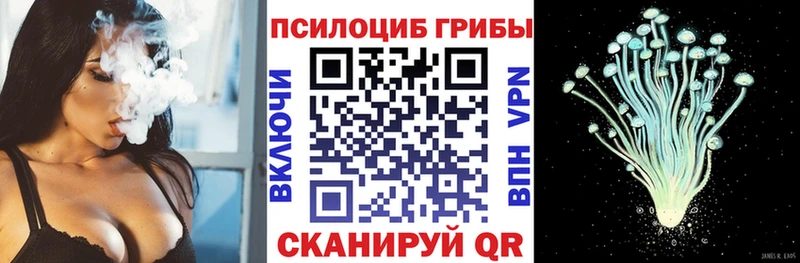 Купить  Благодарный  Псилоцибиновые грибы Psilocybine cubensis 