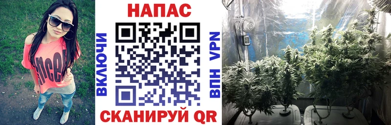 Канабис тримм Благодарный